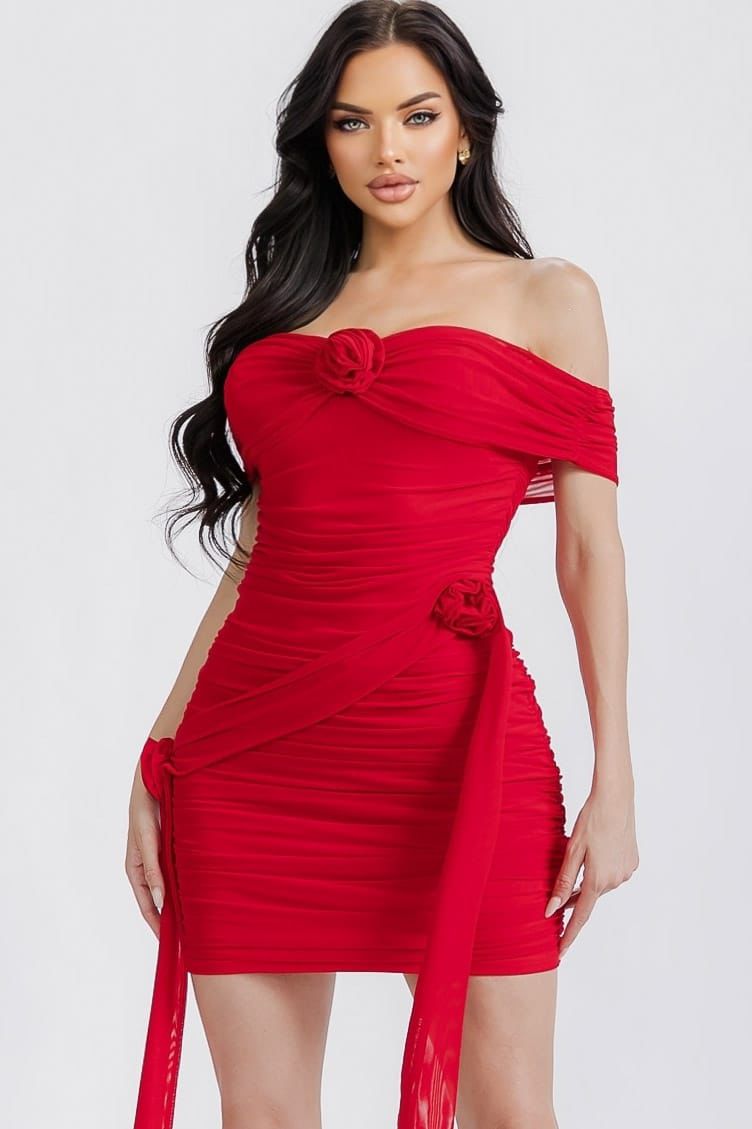 Rosie Mesh Mini Dress