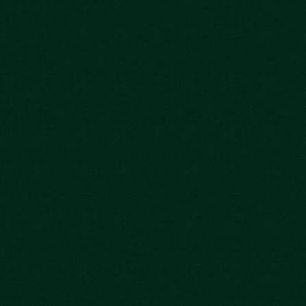 Gabriella Glitter Top